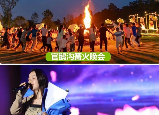 &#70;&#71;&#30005;&#23376;&#40;&#20013;&#22269;&#28216;&#41;&#23448;&#26041;&#32593;&#31449;